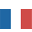 Icon Francais